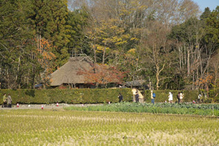 190 祇王寺・落柿舎