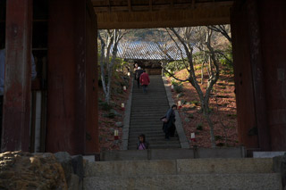 191 常寂光寺－天龍寺