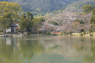 231 大覚寺－直指庵