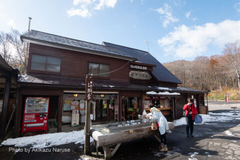 Tsuta Forest: Take the JR Bus Tohoku "Mizuumi No. 6" departing at 10:10 in front of Shin-Aomori Station. On the way, get off the bus at "Kaya no Chaya" for a short break of about 10 minutes, If you drink three glasses Japanese tea, at here tea house you will "live until you die"?.
The surrounding area is snow-covered, and as expected, Hakkoda, a land of heavy snowfall.