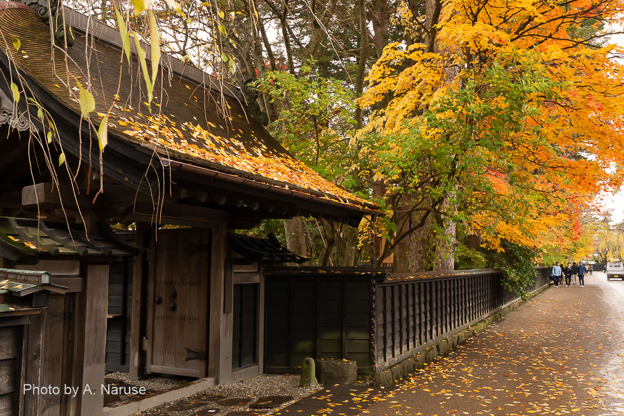 Aoyagi residence: It is open to the public for a fee as "Kakunodate Historical Village / Aoyagi Family".The appearance is impressive traditional gate and a wooden blackboard wall. In the vast residence of 10,000 square meters, there are a weapon storehouse, Aoyagi-an Museum, Akita Local Museum, etc., and it can see various exhibits.