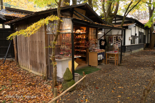 Aoyagi residence: Kakunodate folk craft shop.