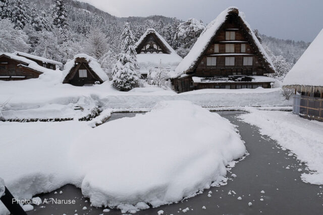 Shirakawa-go: At 4:00 pm, I went to the shooting spot near the Myozenji temple, where I set up a tripod and secured a shooting location. and I bring a camera and go to other shooting spot, Until the light up starts