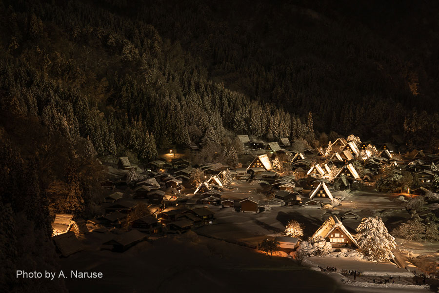 483:Snow Shirakawa-go Gassho village Light Up Event 483:Snow Shirakawa-go Gassho village Light Up Event