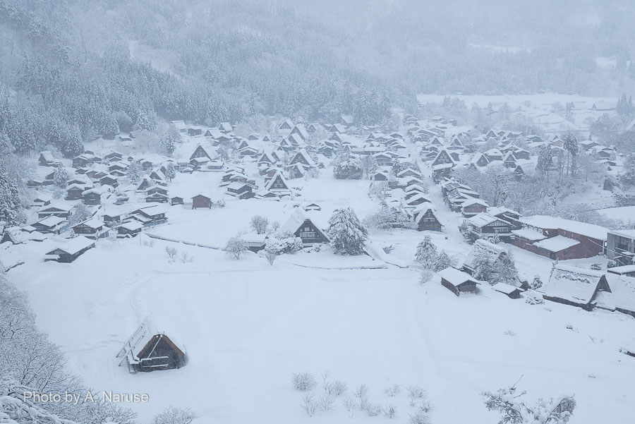 Shirakawa-go: A bird's-eye view of Shirakawa-go, where is cloudy with snowing, from the observatory. A fantastic gassho village that is white and hazy due to the falling snow. Time goes by in a quiet mountain village landscape as opposed to being lit up event.