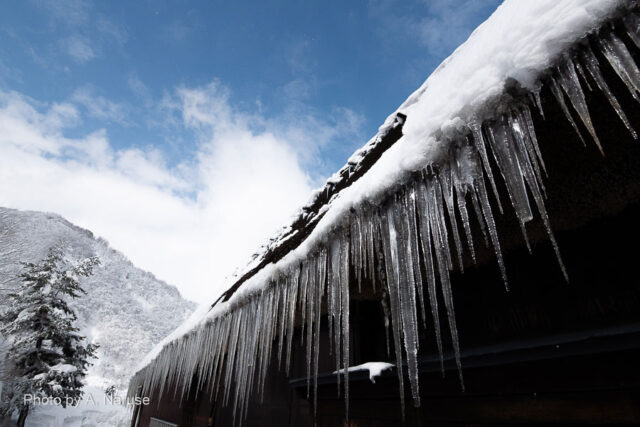Suganuma Village: Stunning icicles. The departure time of the tour bus is soon, and on the way back, take the elevator to the observation square parking lot.